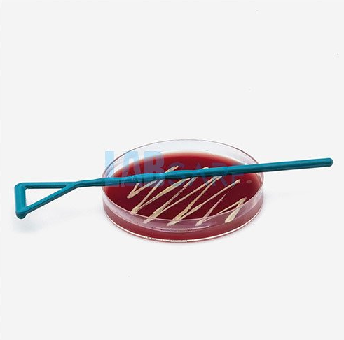 HIPS & Steril Hücre Yayıcılar